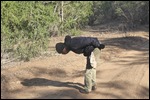 Mandrew looking for leopard tracks