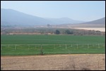 Lovely and green with irrigation