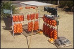 Oranges for sale by the roadside