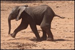 Baby with the sore leg