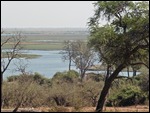 Chobe River Botswana
