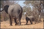 Mother and baby