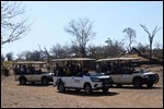 Our safari jeeps-look at the dry trees