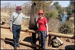 Very obliging elephants these ones