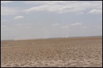 Not much growing on this plain