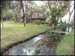 A fresh water spring feeds streams through resort