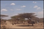 A roadside hut