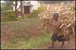 Women's work is never done here 