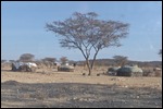 Roadside huts