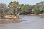 The Ewasonyiao River