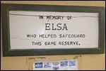 This is where the film came from