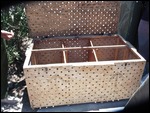 6 Chimps were saved from export in this bin
