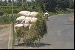 There is a bike under this load!