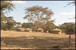 These look much better huts