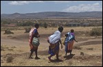 The ladies do all the carrying & work it seems