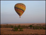 One of the other 9 balloons up today