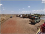 Vehicles lining up to watch the crossing