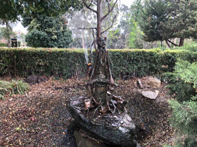 Swagman boiling his billy & its a fountain??