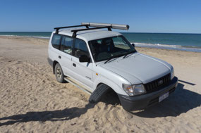 Oops, this on the town beach