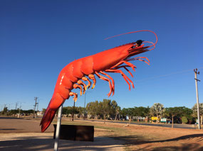 The 'Big Prawn' in Exmouth