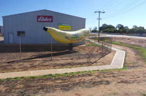 The Carnarvon 'Big Banana' as we head off