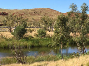 Bit of a pool on the other side of the road