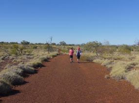 Walking amongst the spinifex