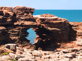 Looks like 'natures window ... but