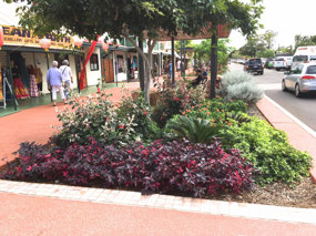 Lovely gardens in wide main street