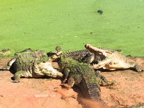 Oops, having a disagreement