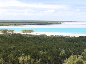 View from Lookout