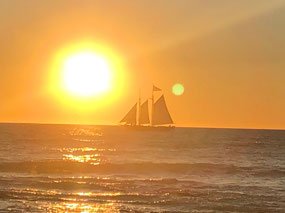 Beautiful sunset shot