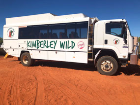 Our Tour Bus-Sean our driver