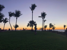 Palm trees and sunsets, what a mix