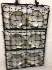 Pearl shells to ready to go down