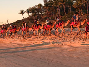 The Red camel train