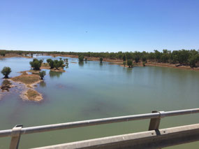 Plenty of water around the Fitzroy River