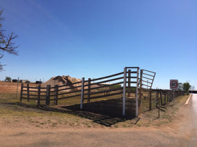 Unused cattle facilities at the Port