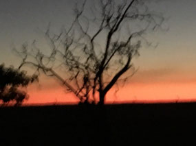 Last night's sunset from the caravan park