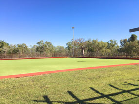 Synthetic Bowling green