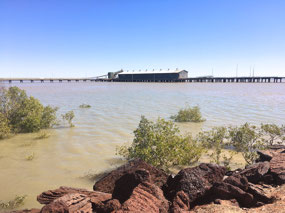 Tide right in 1.45pm