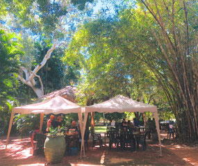 Casual setting at Mango Place