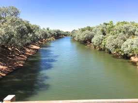 Fizroy river lots of water
