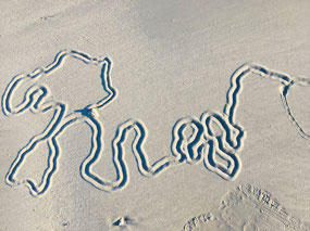 Interesting marks on the tidal flat