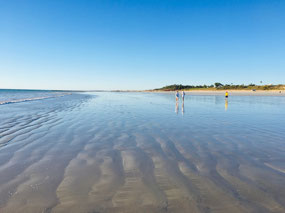 Tide a way out