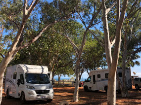 Both vans amongst the trees