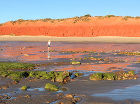 Red reflections in the tidal mud