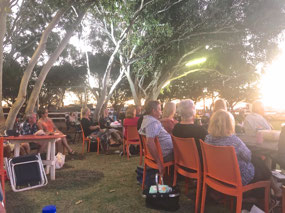 The concert crowd amongst the trees
