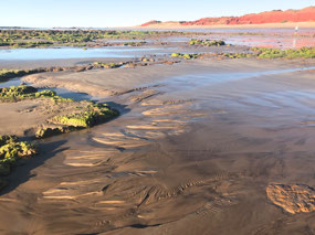Tide out-interesting walking
