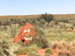 Someone had fun with this termite mound